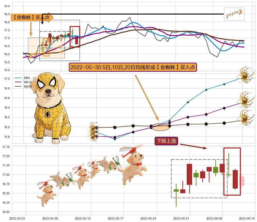 下探上涨+上涨两颗星 | 上涨三颗星+冉冉上升|稳步上涨 ➕ 【金蜘蛛】买入点