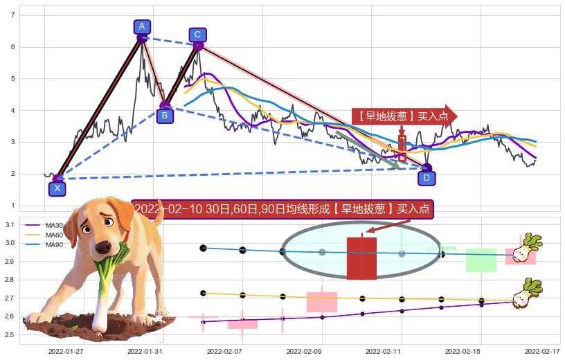 【旱地拔葱】买入点+【蛟龙出海】买入点+【高山滑雪】买入点 ➕ 谐波(XABCD)