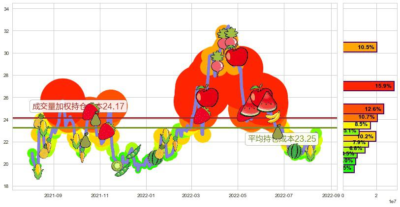 中国黄金国际(hk02099)持仓成本图-阿布量化