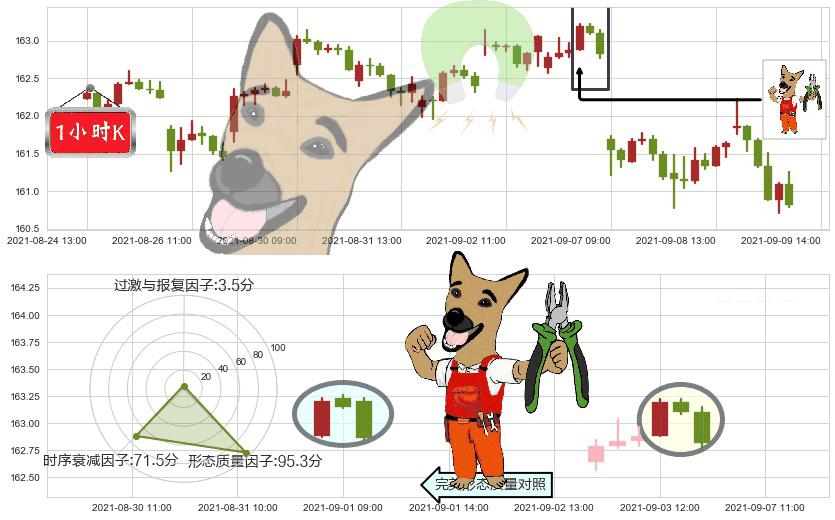 高红利股ETF-Vanguard(usVIG)下跌镊子线（n形磁铁）K线图-阿布量化