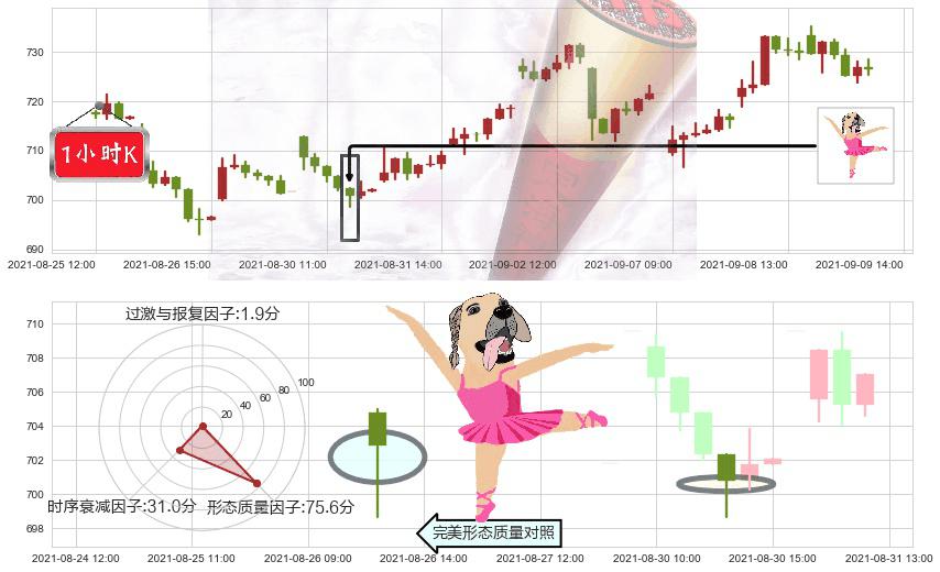 爱齐科技(usALGN)单针探底（定海神针）K线图-阿布量化