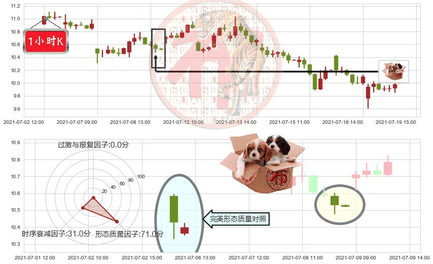 Gogo(usGOGO)底部尽头线（上山虎）K线图-阿布量化
