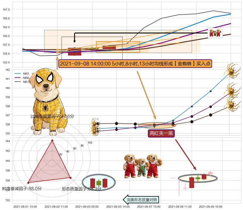 两红夹一黑 ➕ 【金蜘蛛】买入点