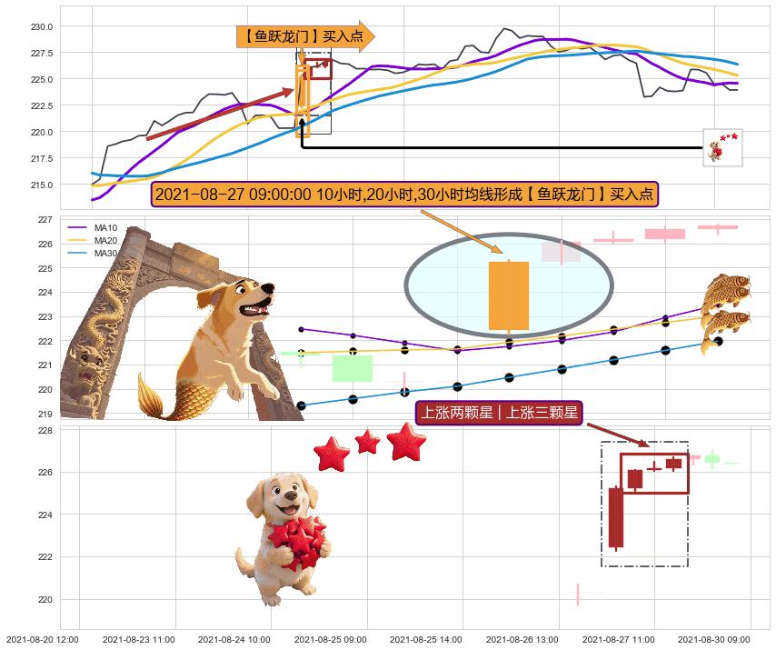 上涨两颗星 | 上涨三颗星+旭日东升 ➕ 【鱼跃龙门】买入点