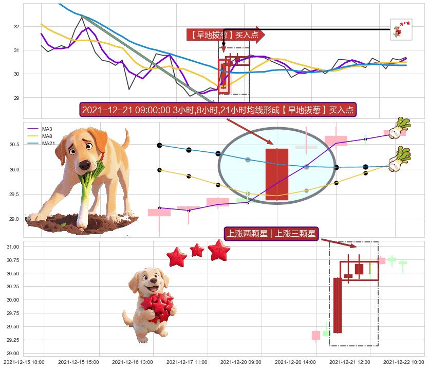 上涨两颗星 | 上涨三颗星+塔形底 | 圆底 ➕ 【旱地拔葱】买入点
