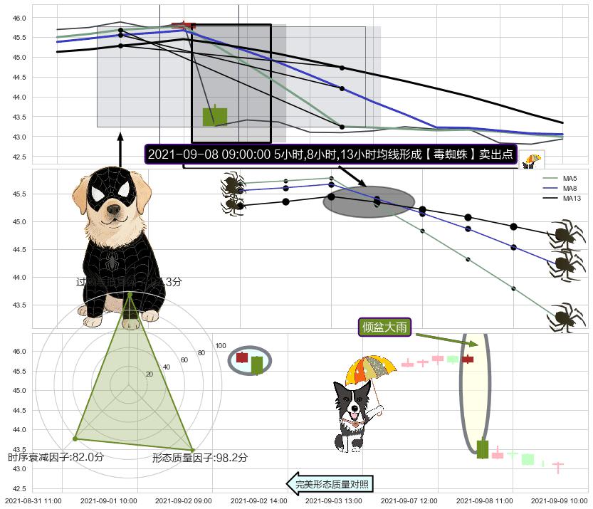倾盆大雨+双飞乌鸦(树上二鸦) ➕ 【毒蜘蛛】卖出点