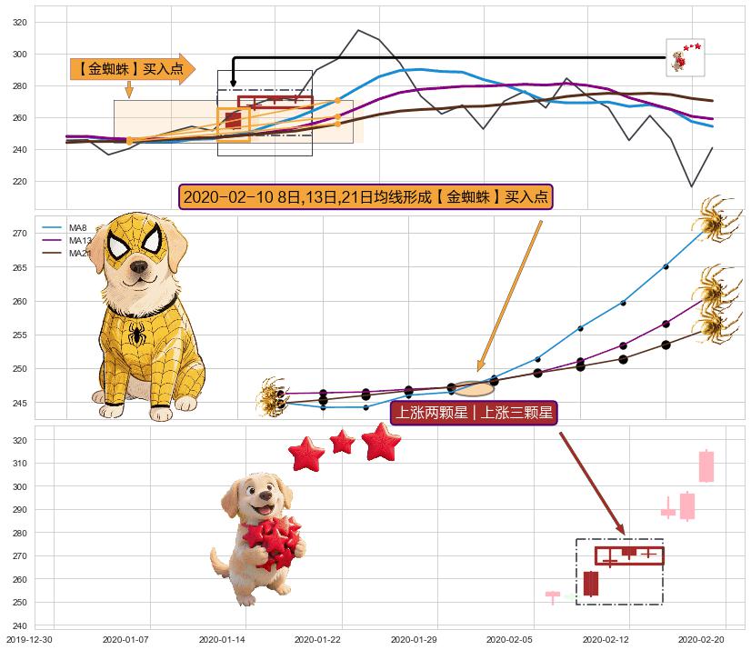 上涨两颗星 | 上涨三颗星 ➕ 【金蜘蛛】买入点