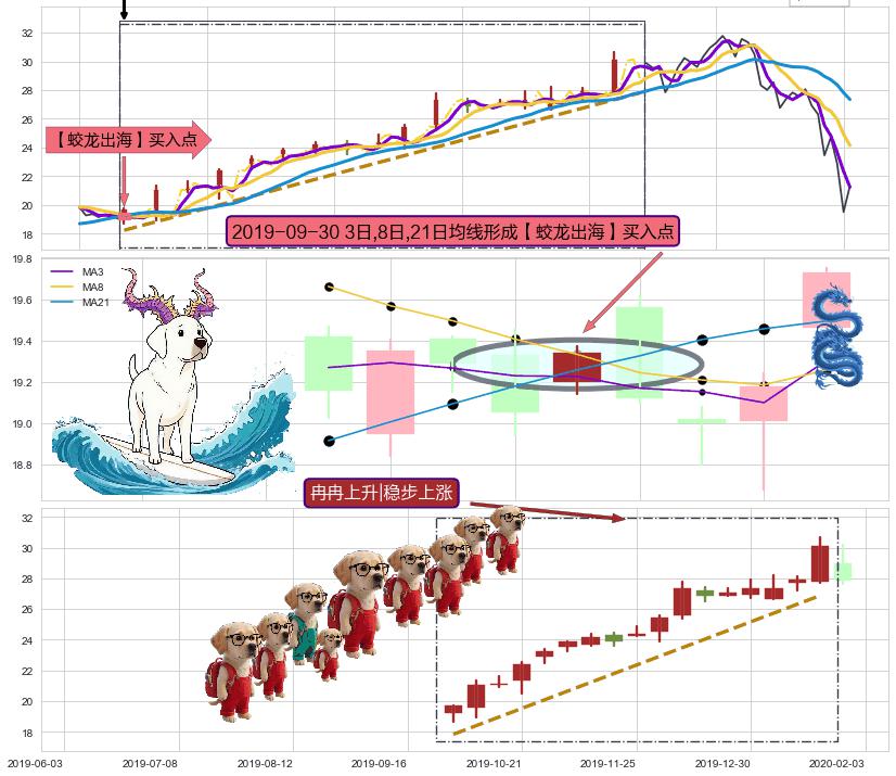 冉冉上升|稳步上涨 ➕ 【蛟龙出海】买入点